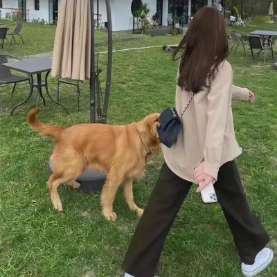 调味的房子